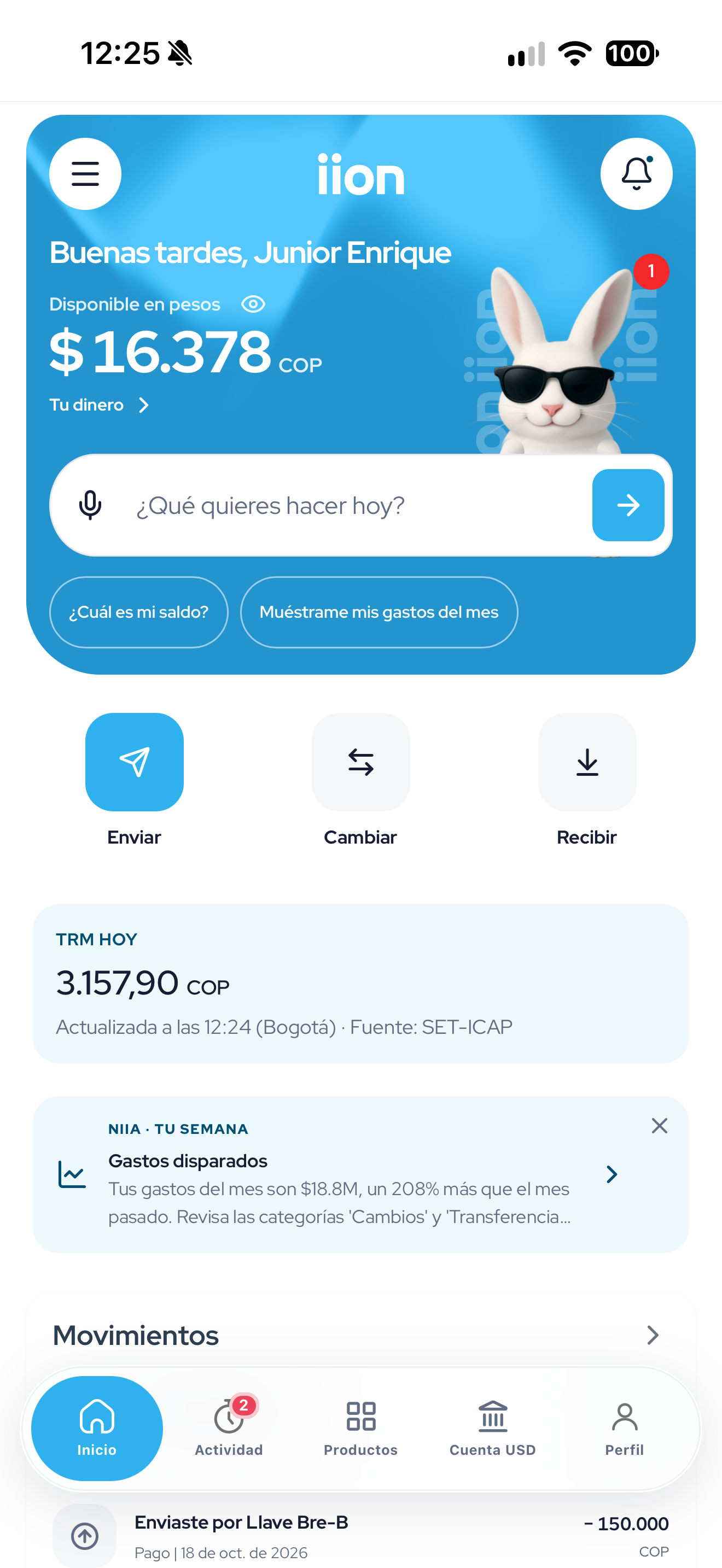Pantalla de inicio de la app iion pay.