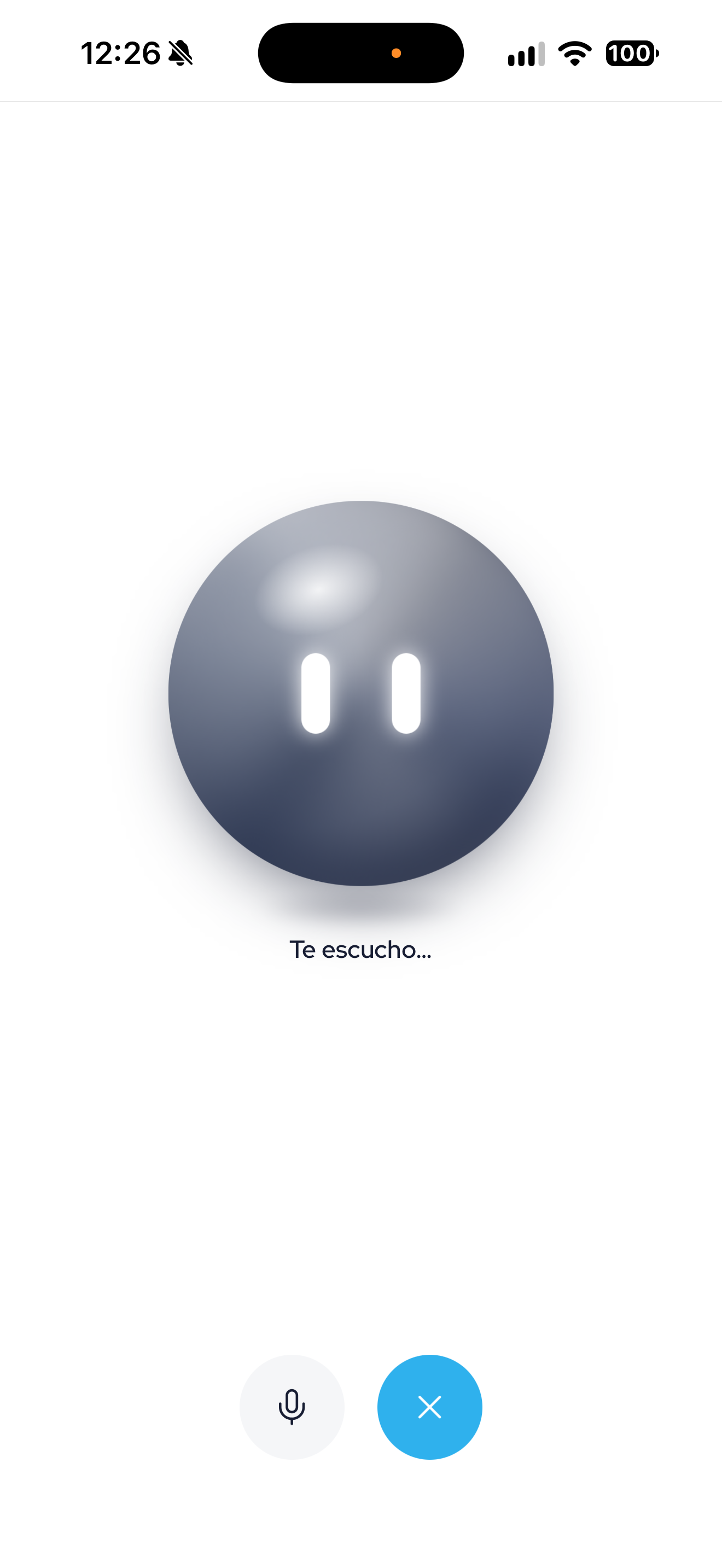 Pantalla de Niia por voz en la app iion pay.